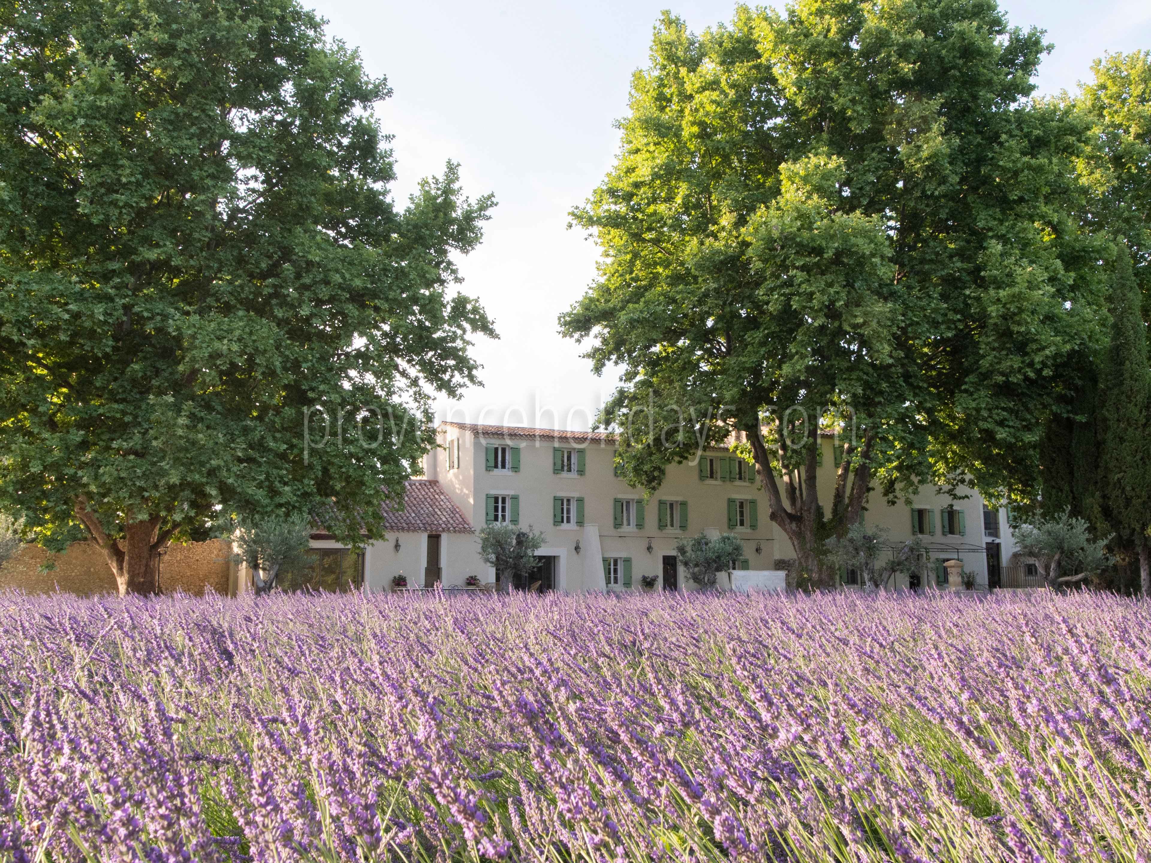 12 - La Bastide Lavande: Villa: Exterior