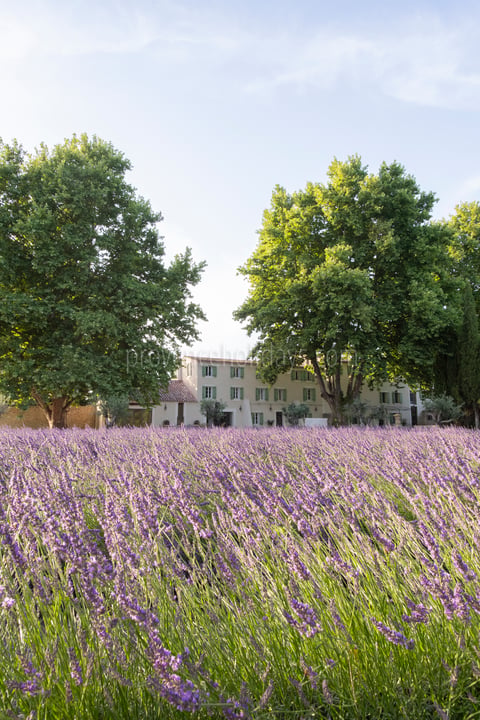 12 - La Bastide Lavande: Villa: Exterior