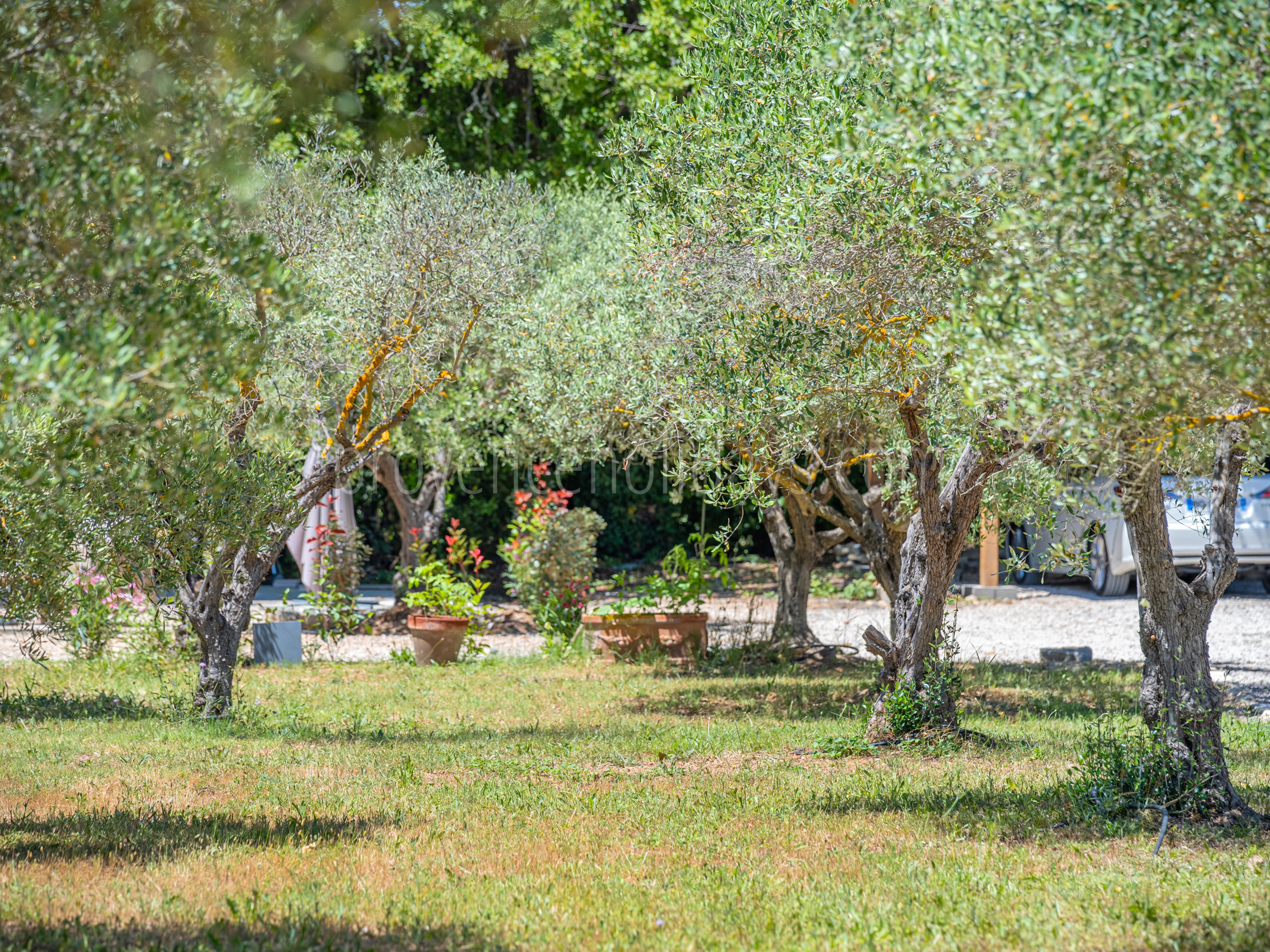 80 - Horizon Sainte-Victoire: Villa: Exterior