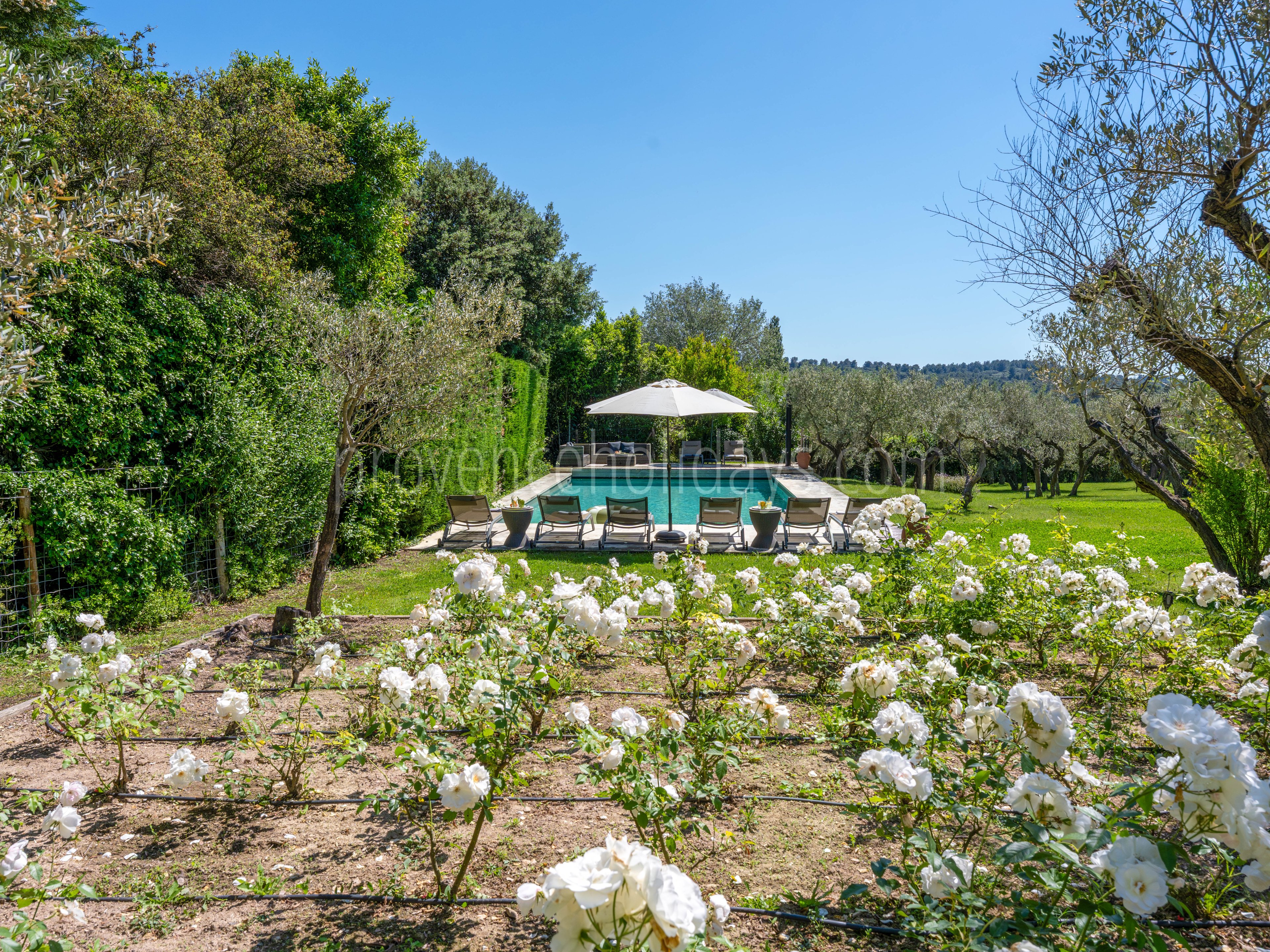 21 - Mas de la Burlande: Villa: Pool