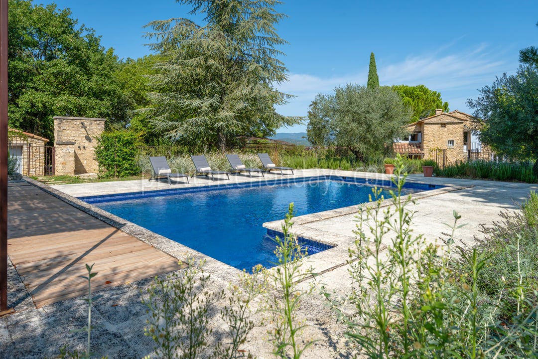 2 - Mas de l\'Ancienne: Villa: Pool