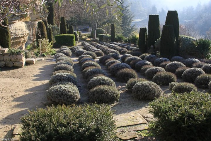 botanische tuinen in Bonnieux