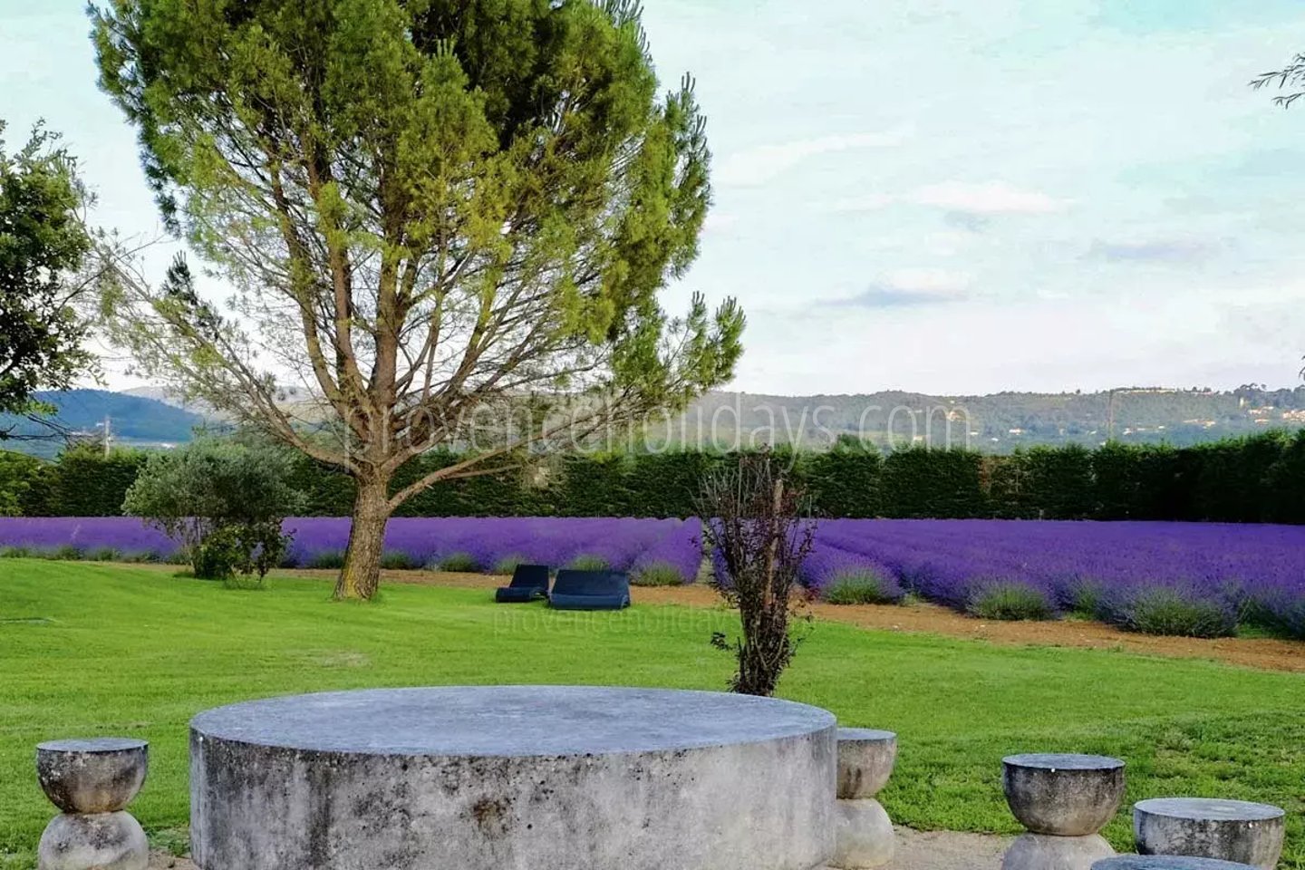 6 - Bonnieux Mas: Villa: Exterior