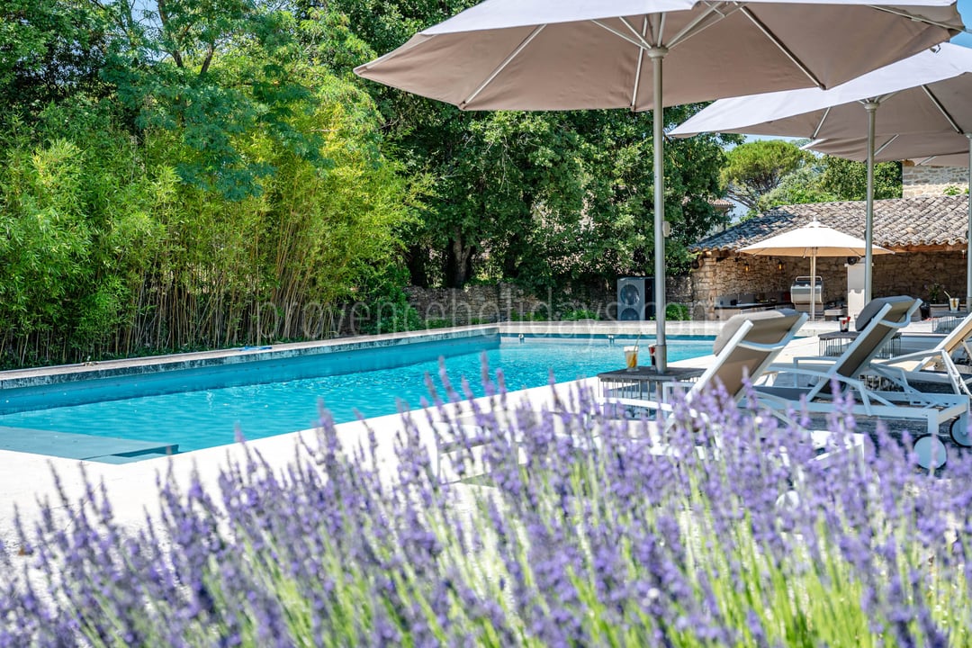 52 - Le Mas aux Gargouilles: Villa: Pool