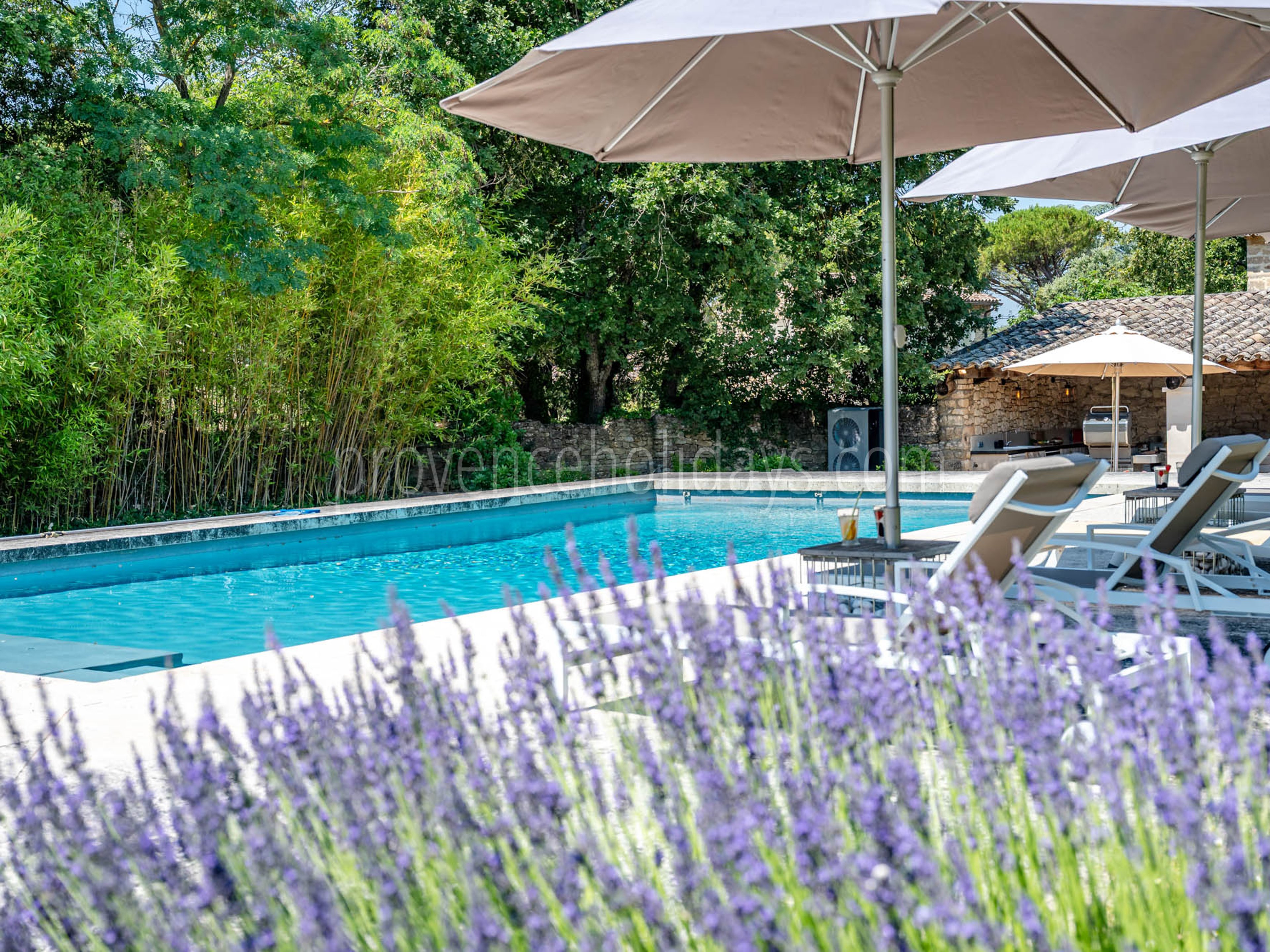 52 - Le Mas aux Gargouilles: Villa: Pool