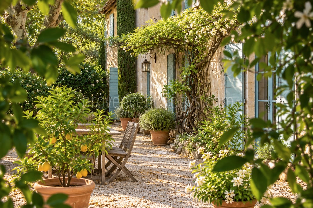 10 - Authentic farmhouse in Saint-Rémy-de-Provence: Villa: Exterior