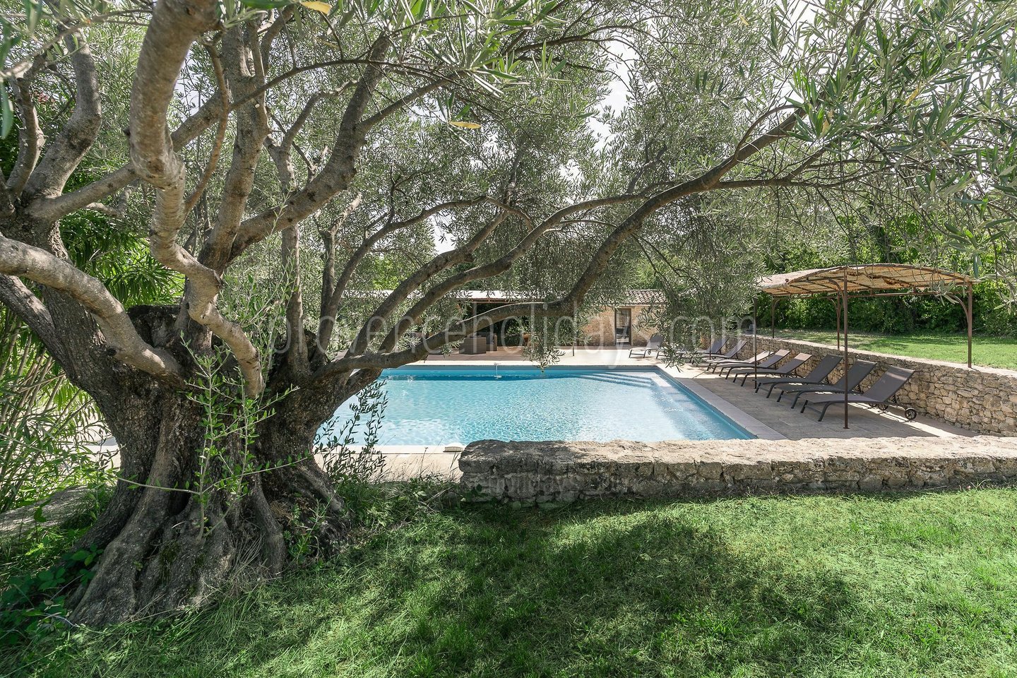 19 - La Bastide des Sources: Villa: Pool