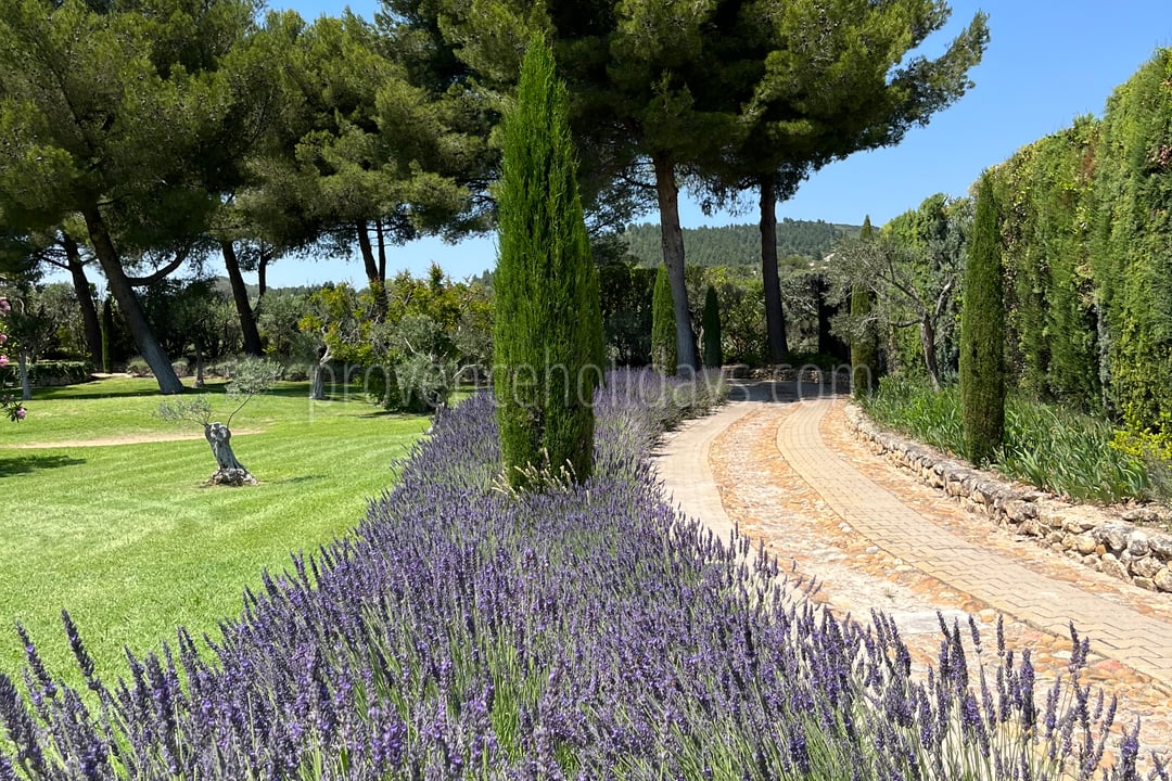 6 - Le Mas Olivia: Villa: Exterior