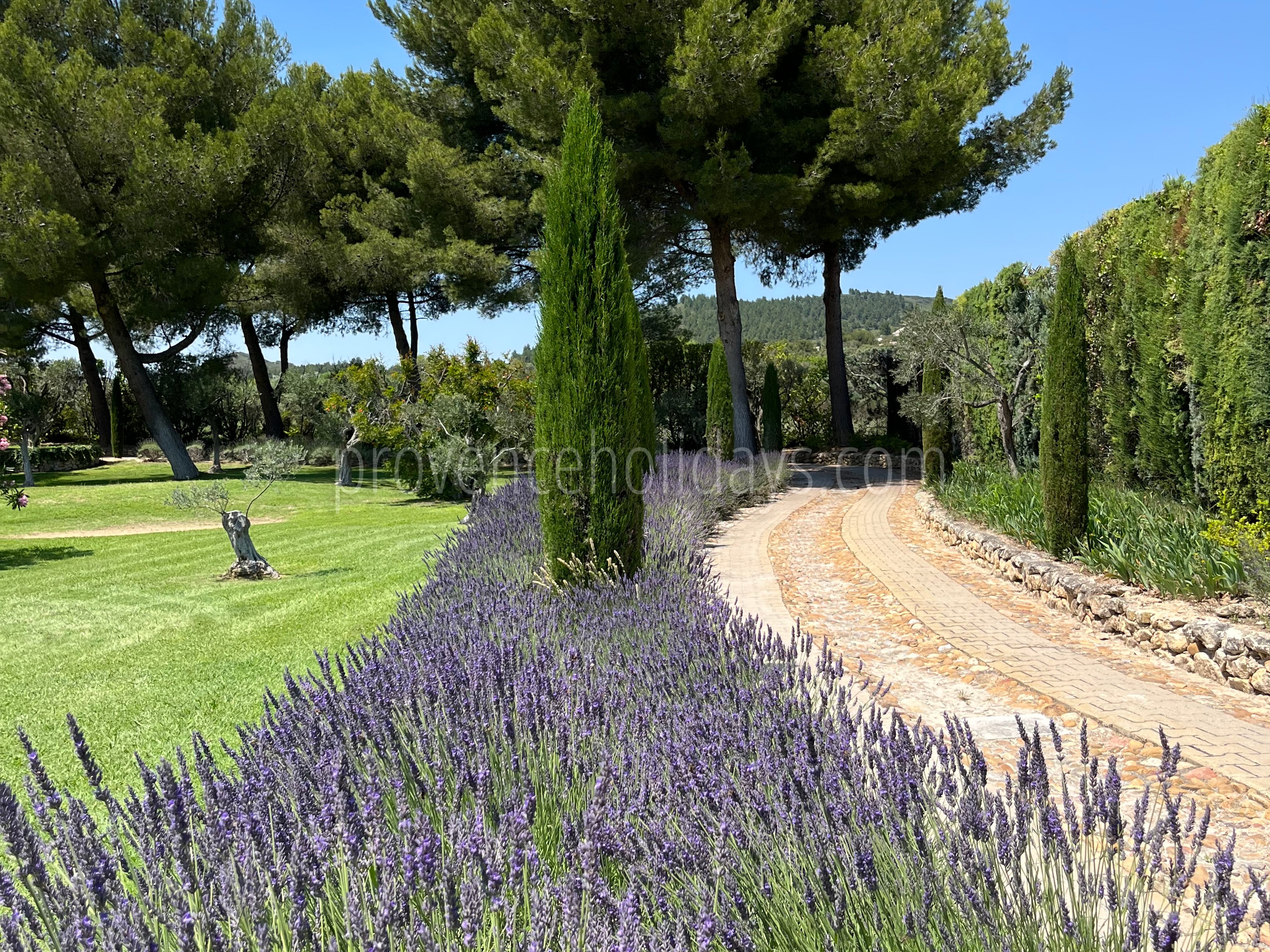 6 - Le Mas Olivia: Villa: Exterior
