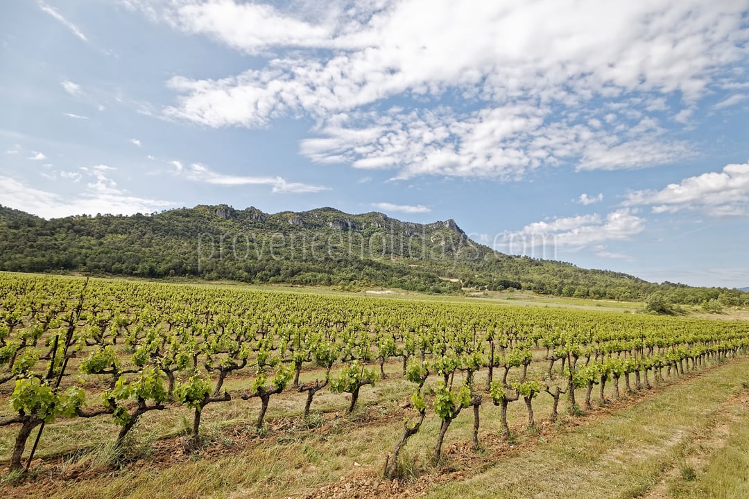 10 - Villa Garrigue: Villa: Exterior