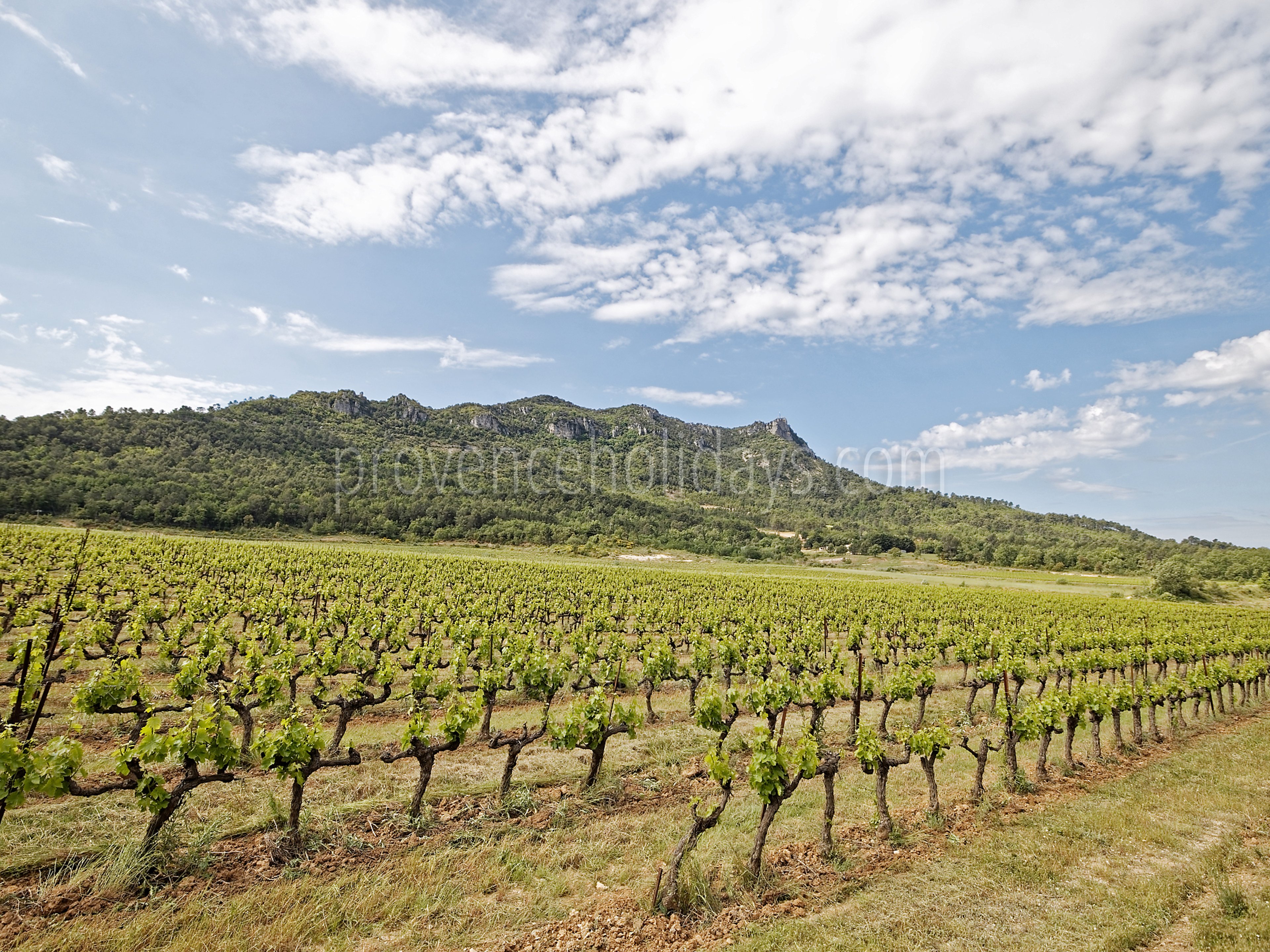 10 - Villa Garrigue: Villa: Exterior