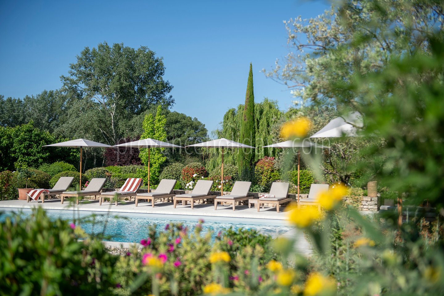 6 - Mas du Carlet: Villa: Pool