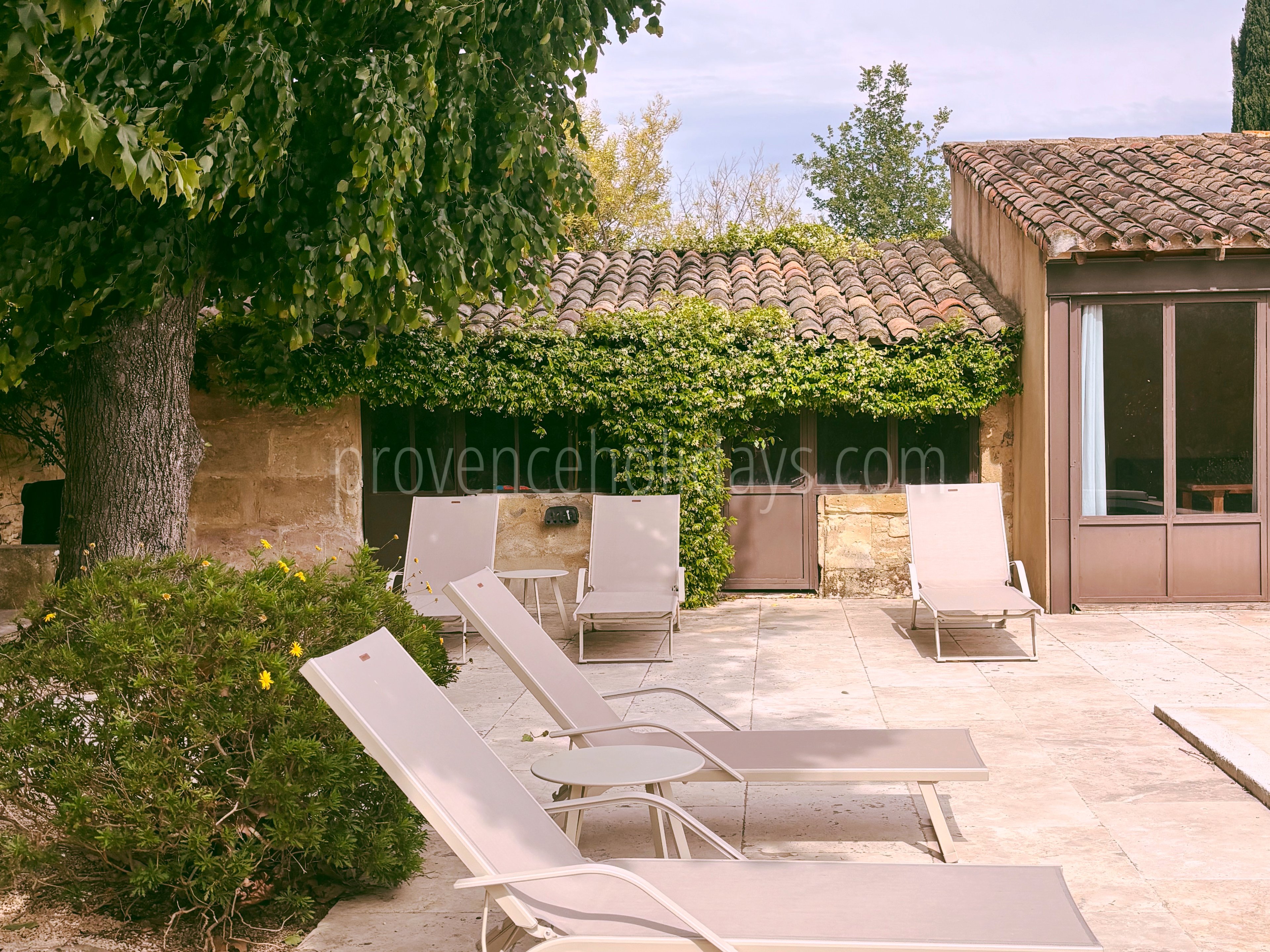 9 - Mas Vigueirat: Villa: Pool