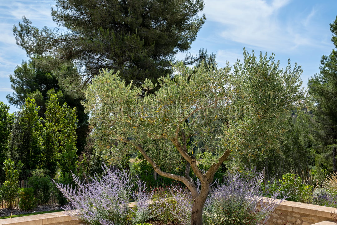 138 - Le Loup des Alpilles: Villa: Exterior