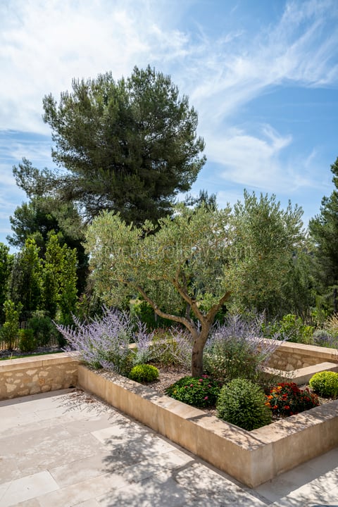 138 - Le Loup des Alpilles: Villa: Exterior