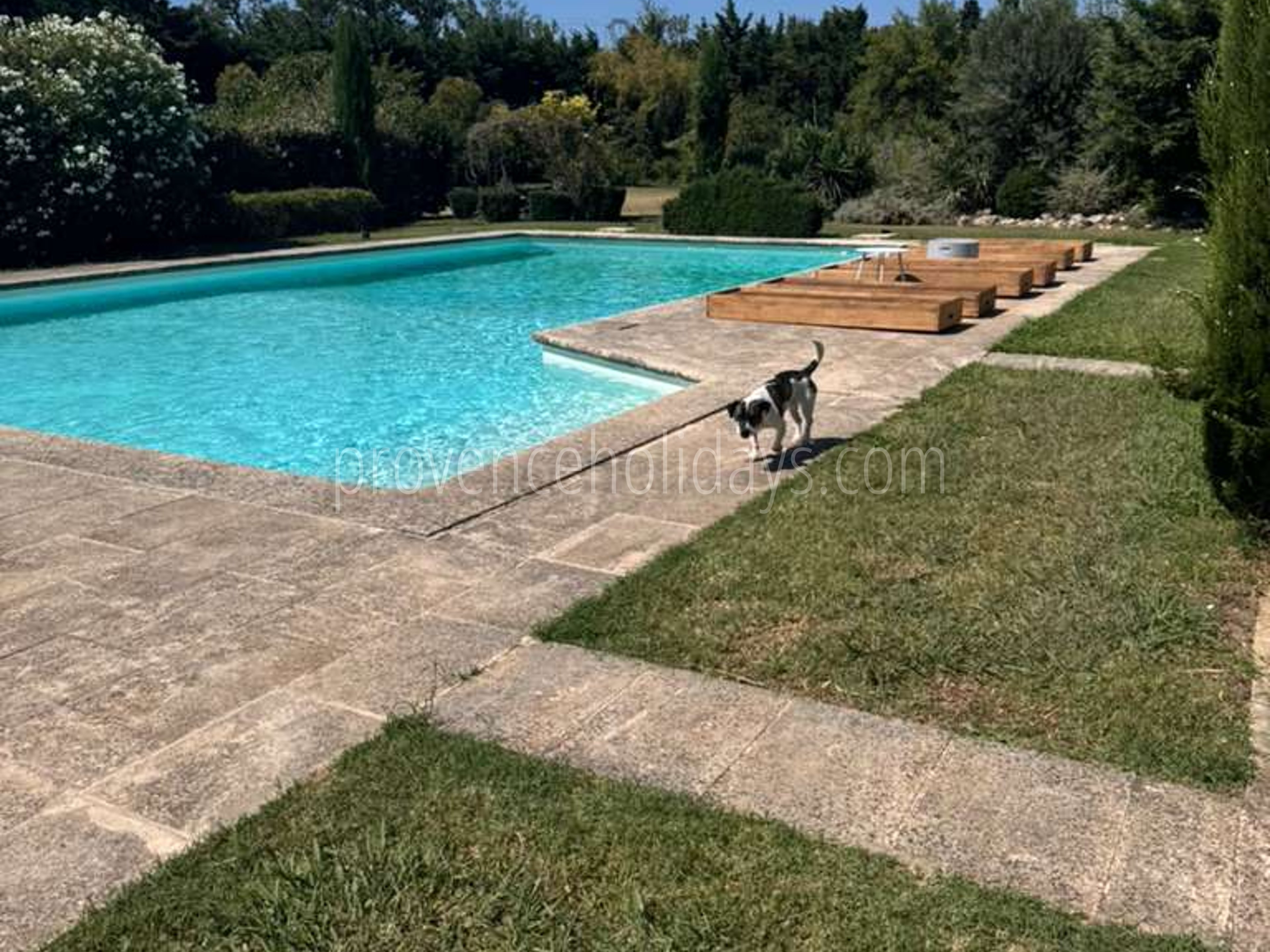 20 - Mas des Barrattes: Villa: Pool