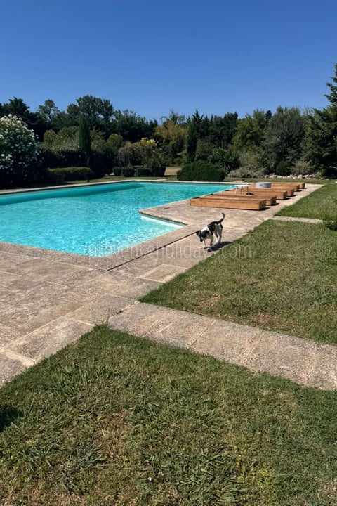 20 - Mas des Barrattes: Villa: Pool