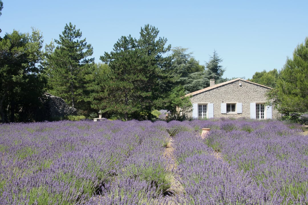 Location de vacances de charme avec piscine près de Lacoste