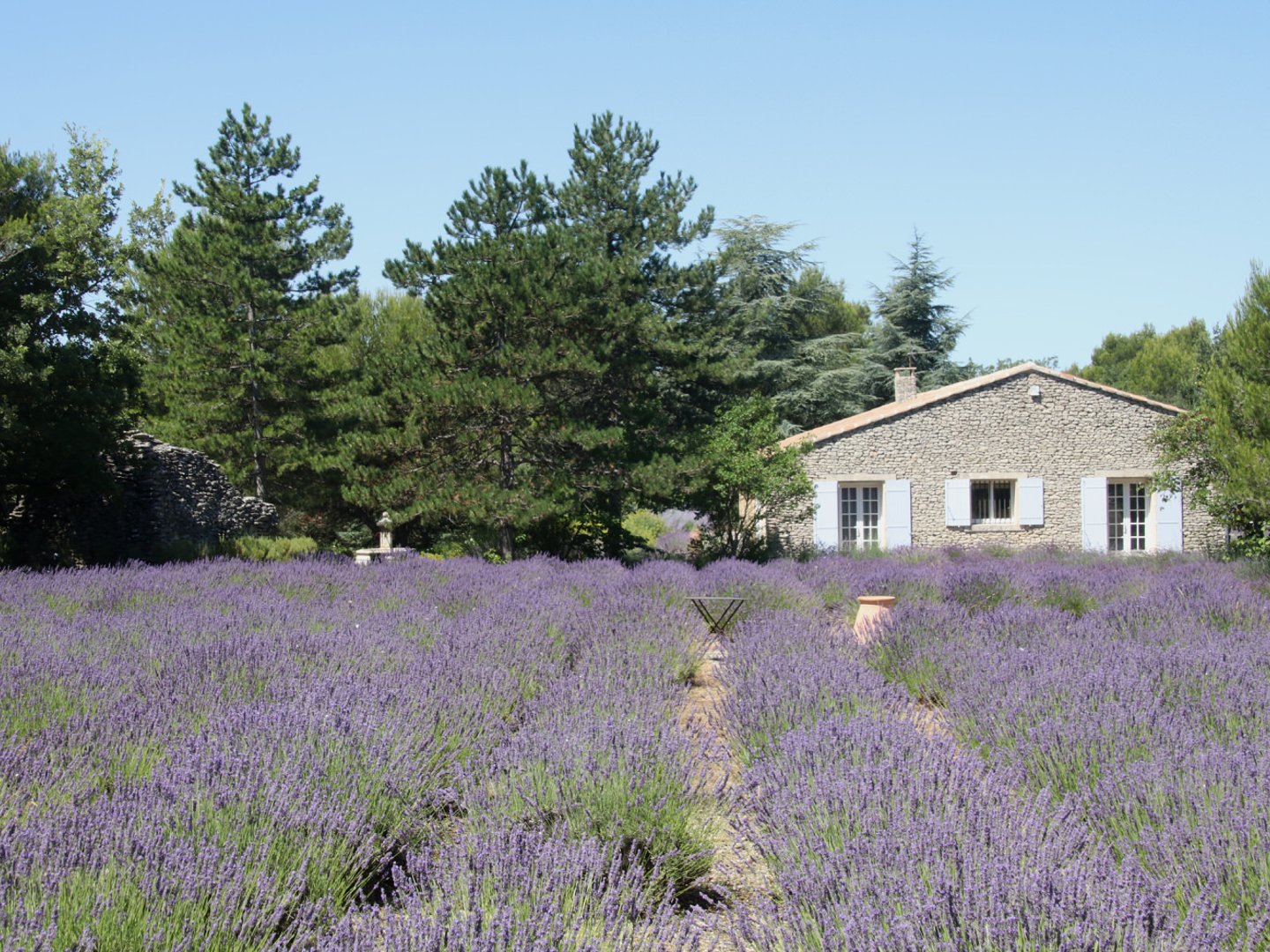 1 - Villa Lacoste: Villa: Exterior