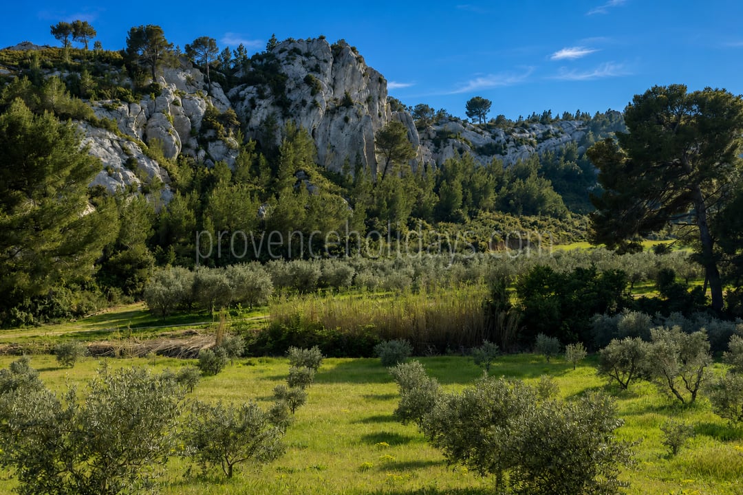 87 - Le Loup des Alpilles: Villa: Exterior