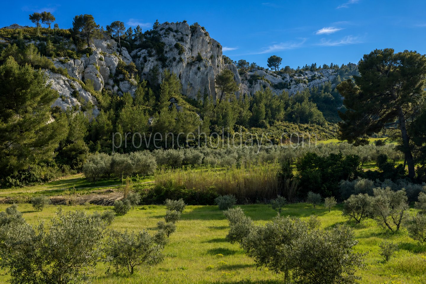 87 - Le Loup des Alpilles: Villa: Exterior