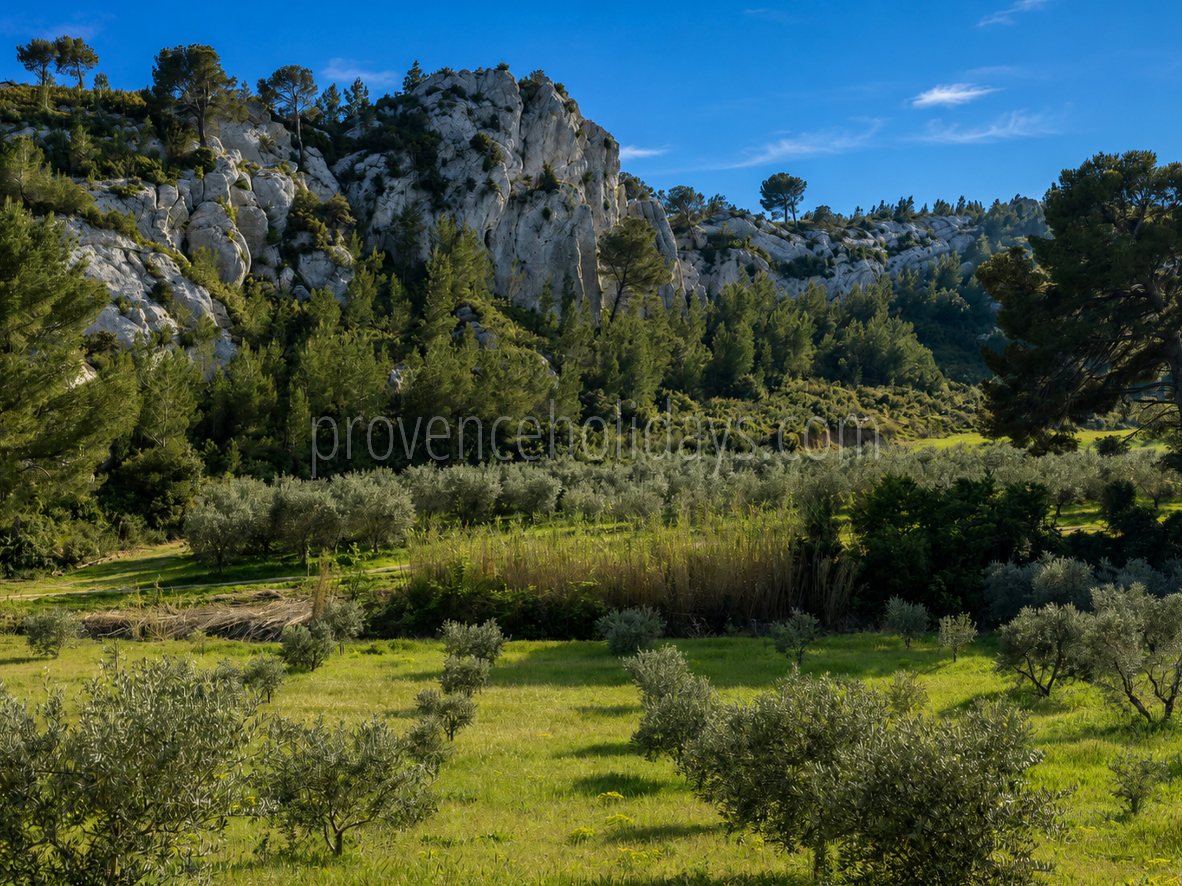 87 - Le Loup des Alpilles: Villa: Exterior