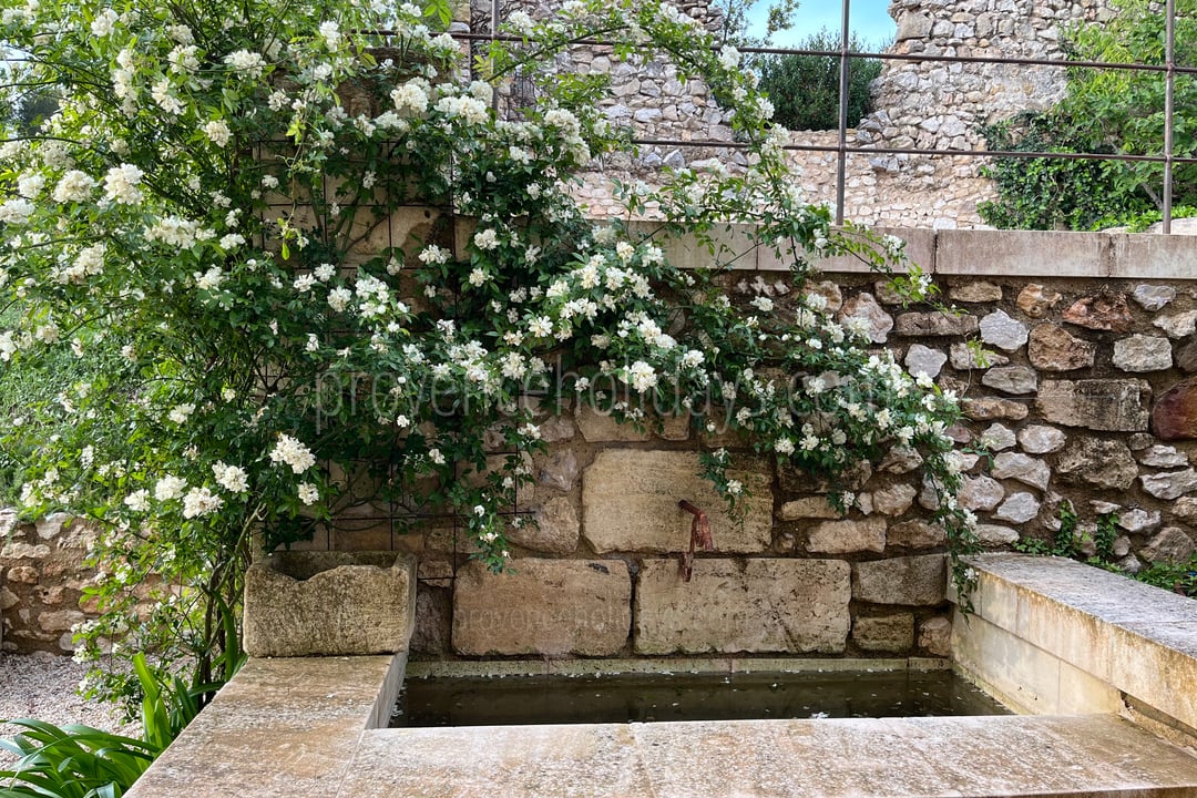 50 - Mas des Baux: Villa: Exterior