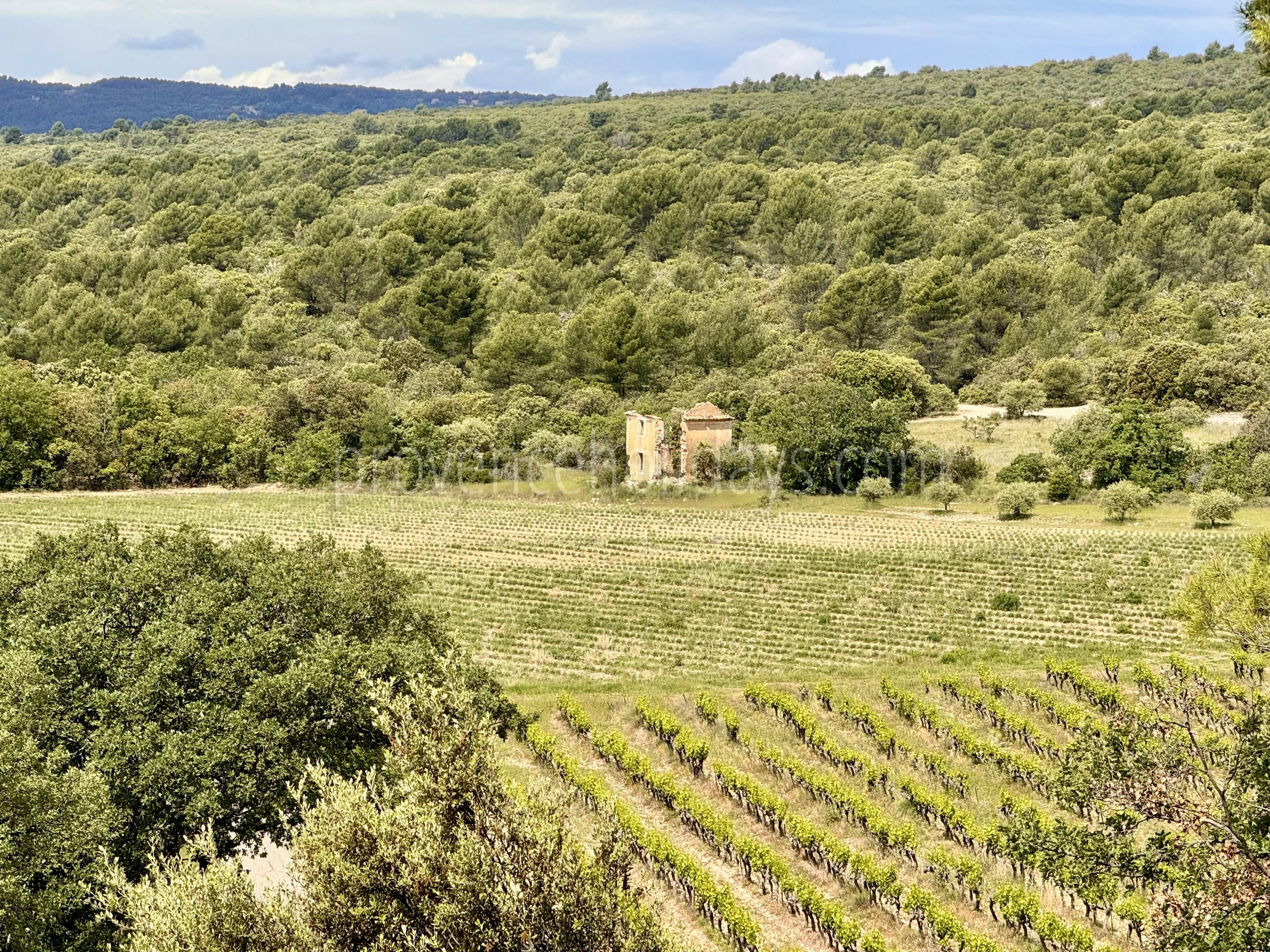 11 - Renovated château in Gordes: Villa: Exterior