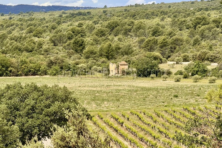 11 - Renovated château in Gordes: Villa: Exterior