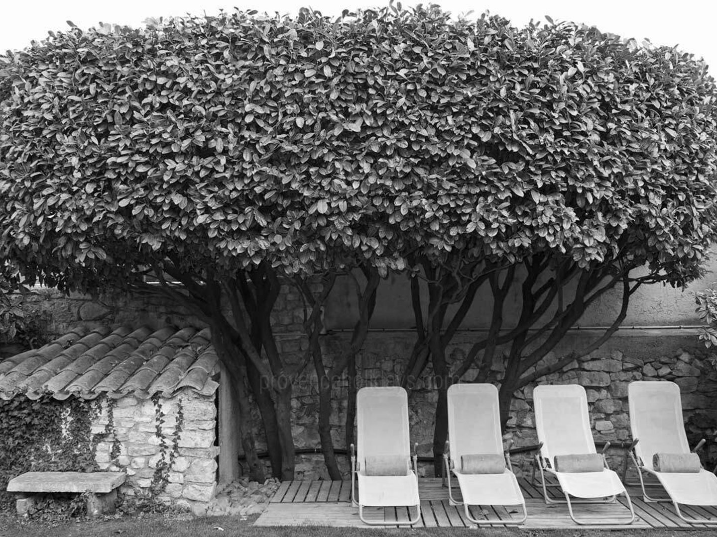 7 - Maison Louise: Villa: Exterior