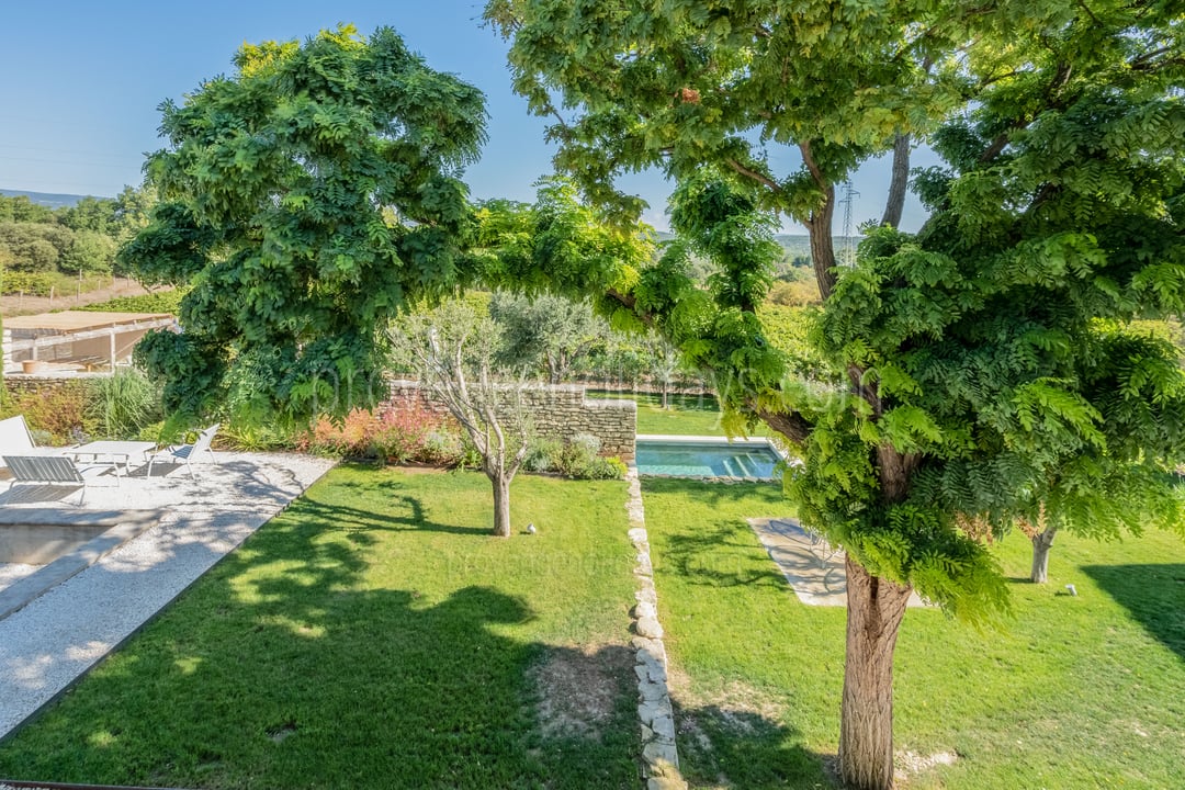 20 - Le Mas des Vignes: Villa: Exterior