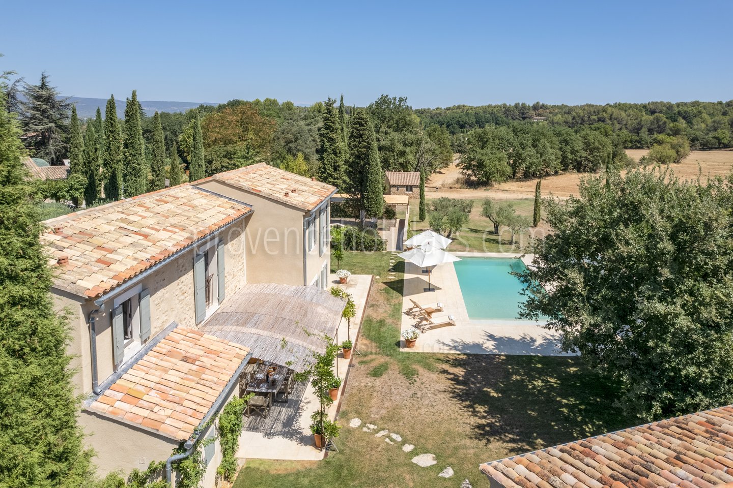 8 - Mas des Vignobles: Villa: Pool