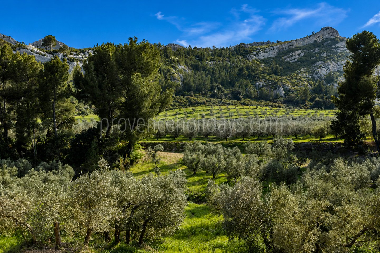 84 - Le Loup des Alpilles: Villa: Exterior