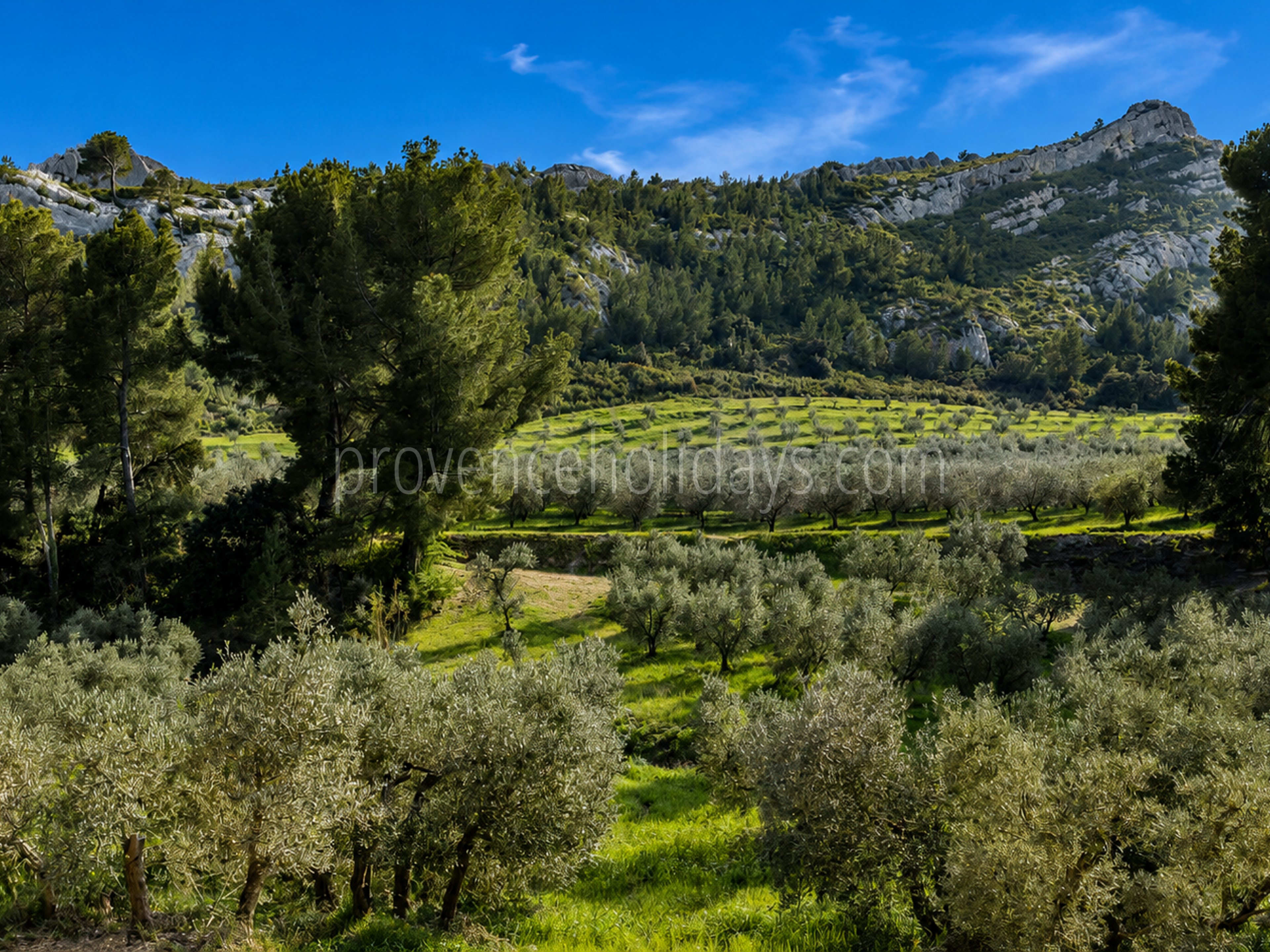 84 - Le Loup des Alpilles: Villa: Exterior