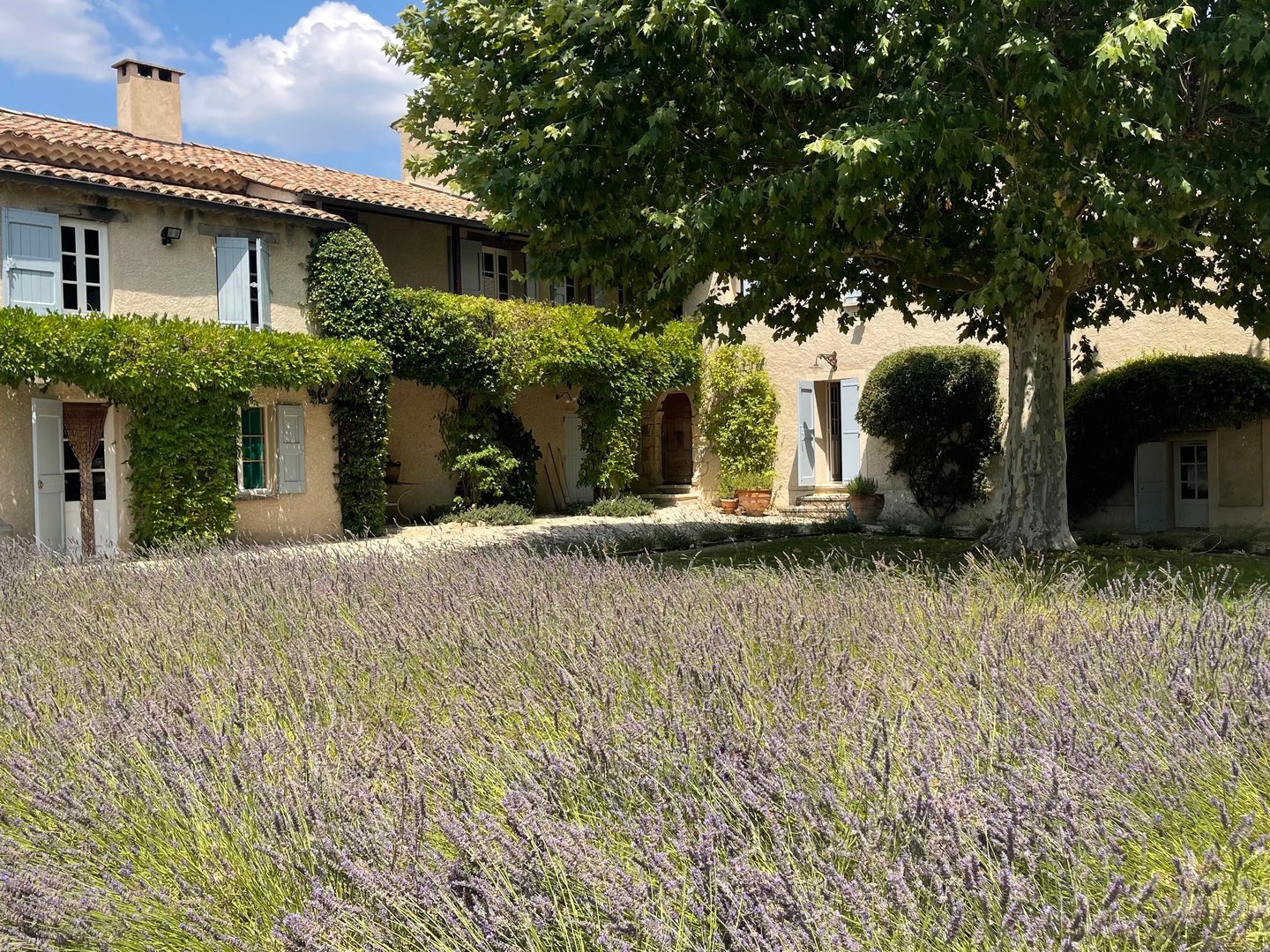 27 - Mas Pasquette: Villa: Exterior