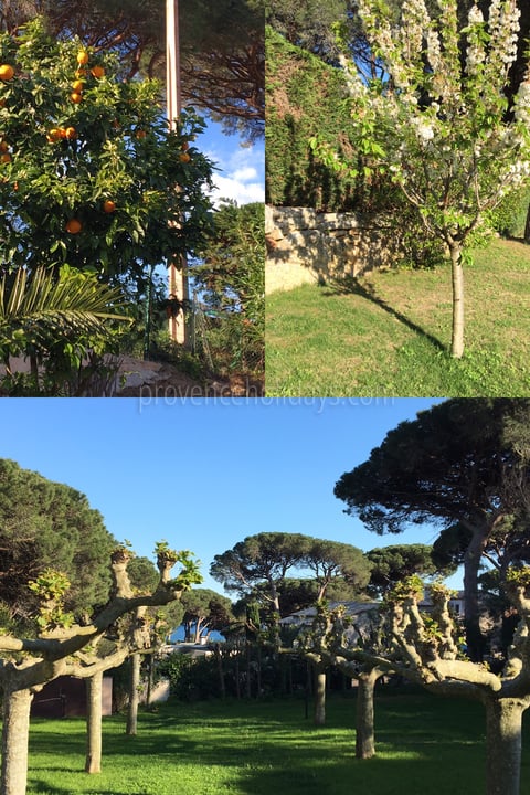 4 - Le Mas des Lys: Villa: Exterior