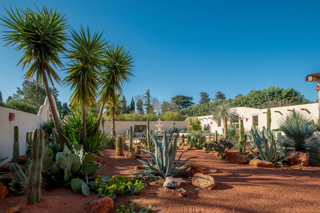 Maison de vacances exceptionnelle avec des jardins incroyables 7 - Mas des Étoiles: Villa: Exterior