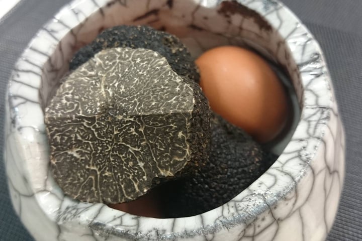 Truffles in Saint-Paul-Trois-Châteaux