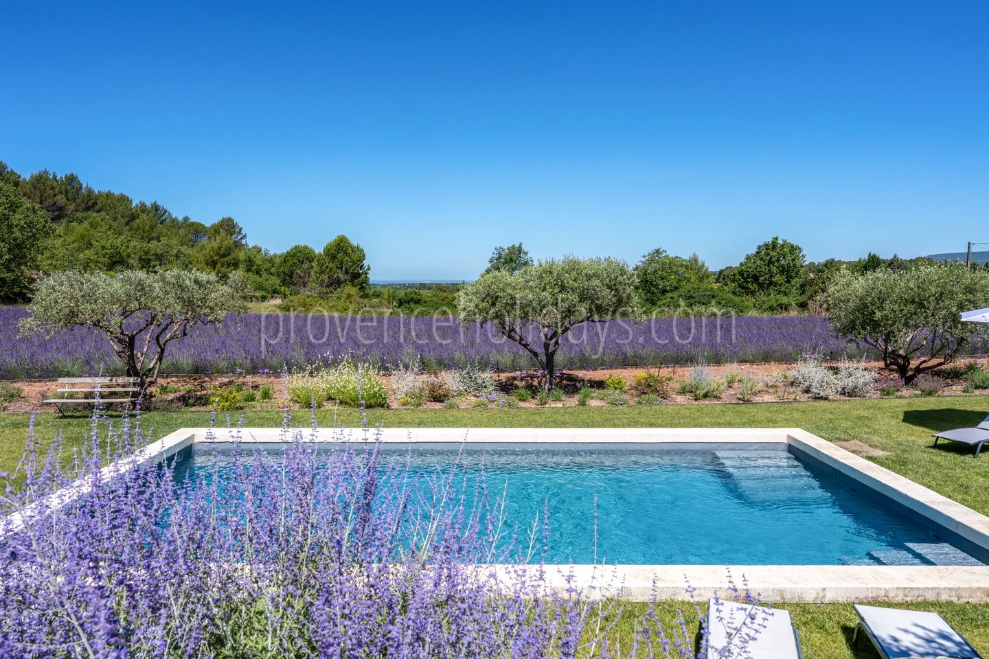 1 - Mas Florence: Villa: Pool