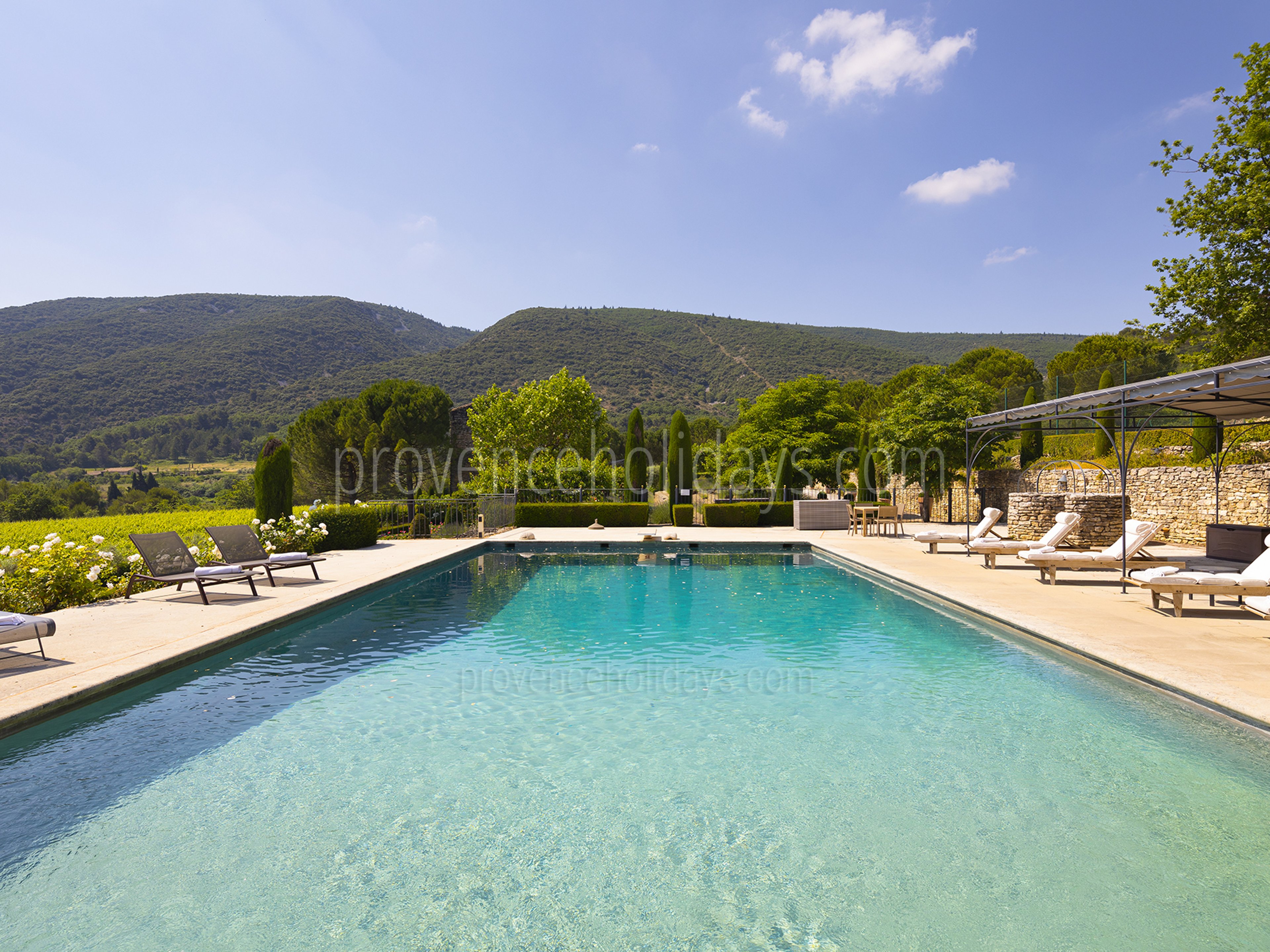 4 - La Roseraie: Villa: Pool