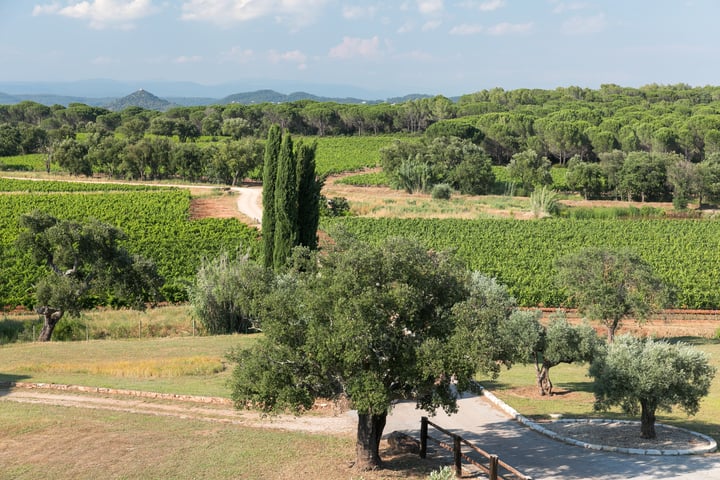 53 - Domaine de Vidauban: Villa: Exterior