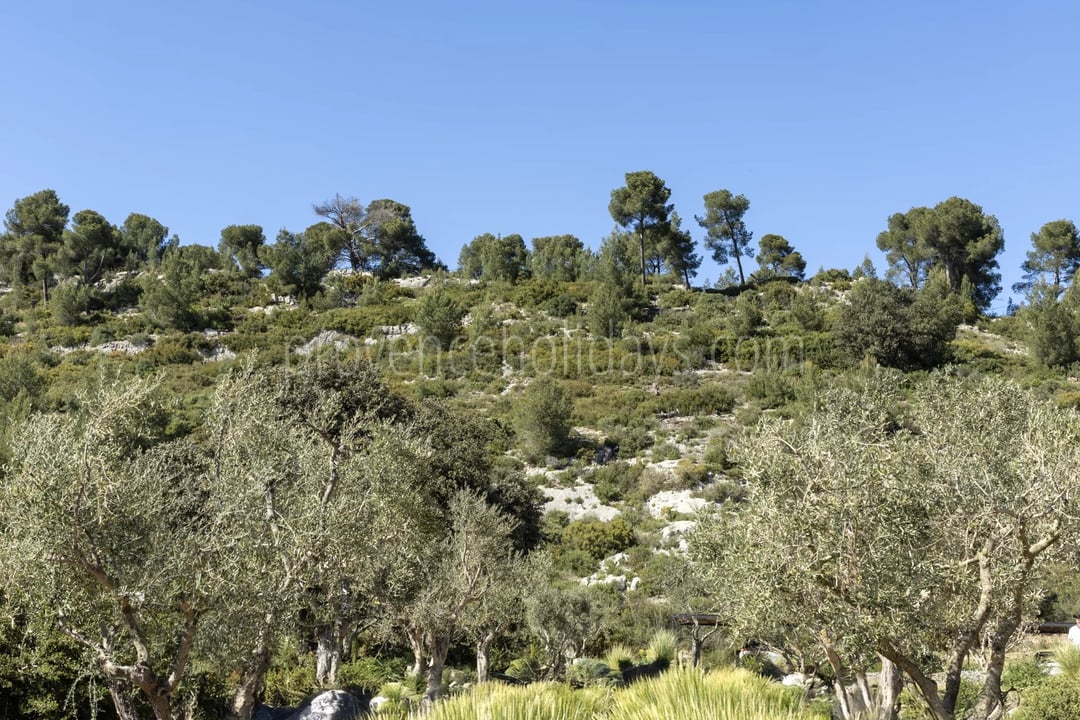 36 - Le Loup des Alpilles: Villa: Exterior