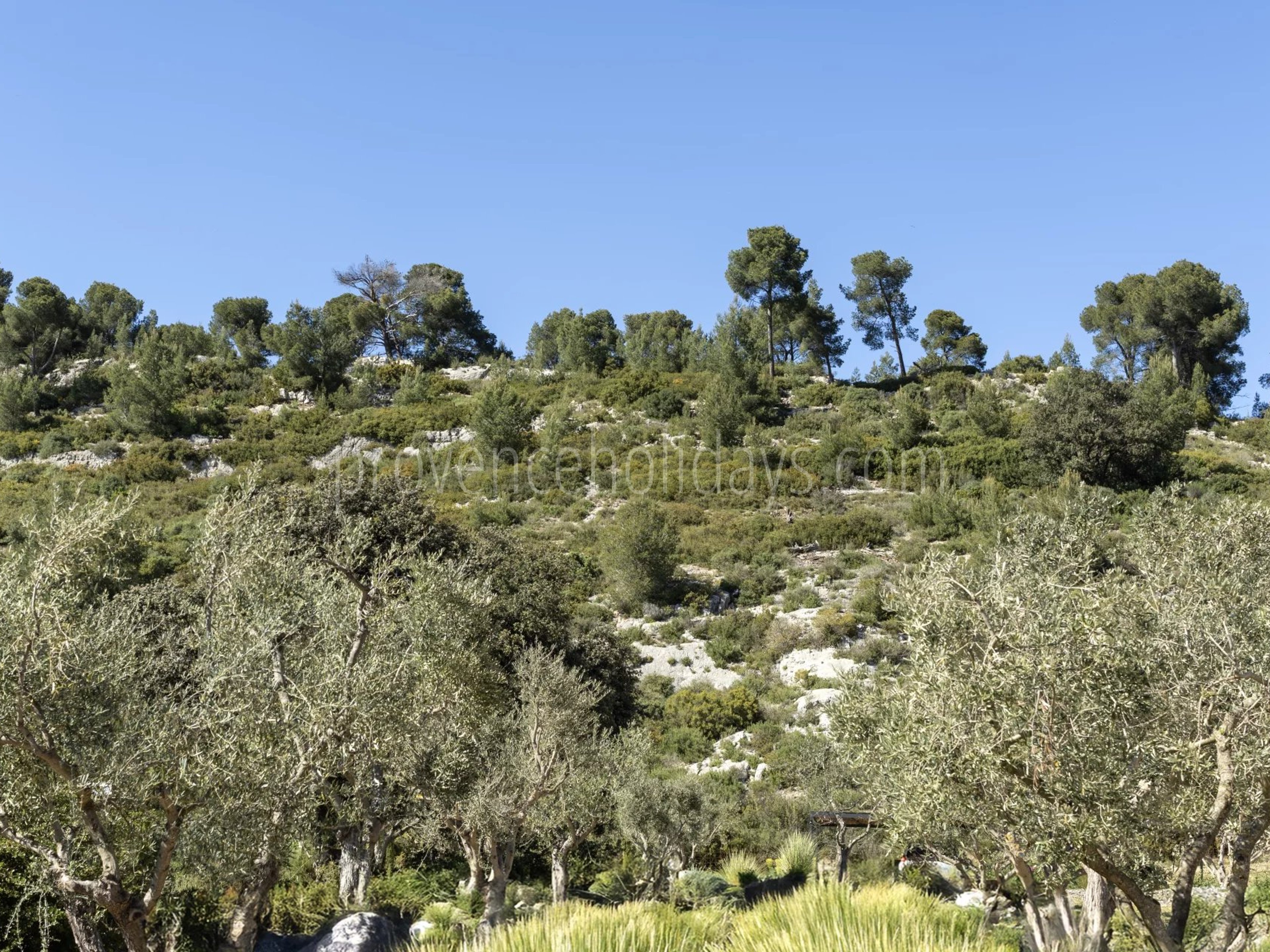 36 - Le Loup des Alpilles: Villa: Exterior