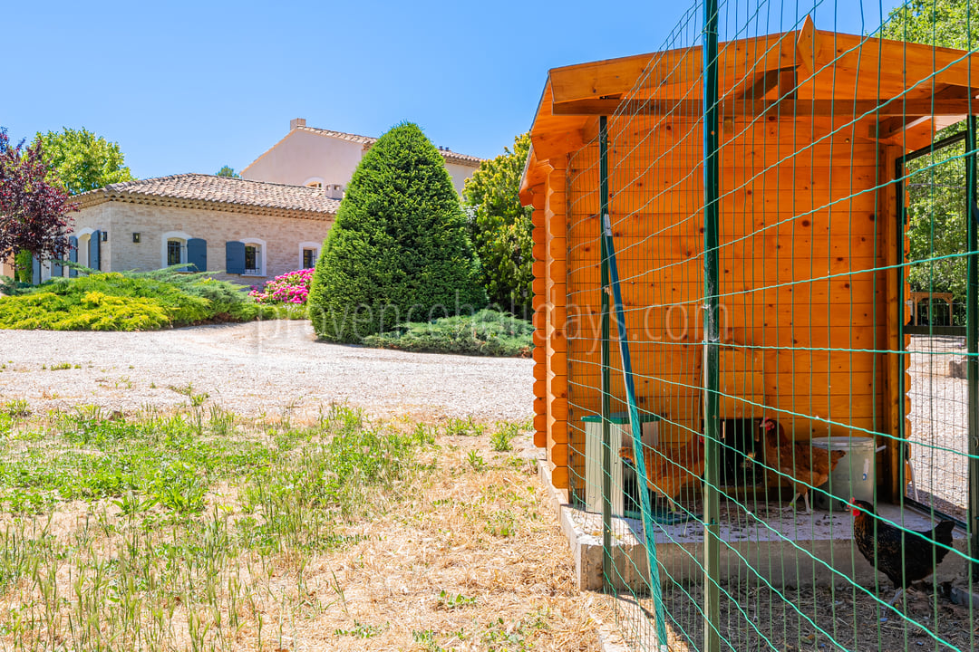 84 - Horizon Sainte-Victoire: Villa: Exterior
