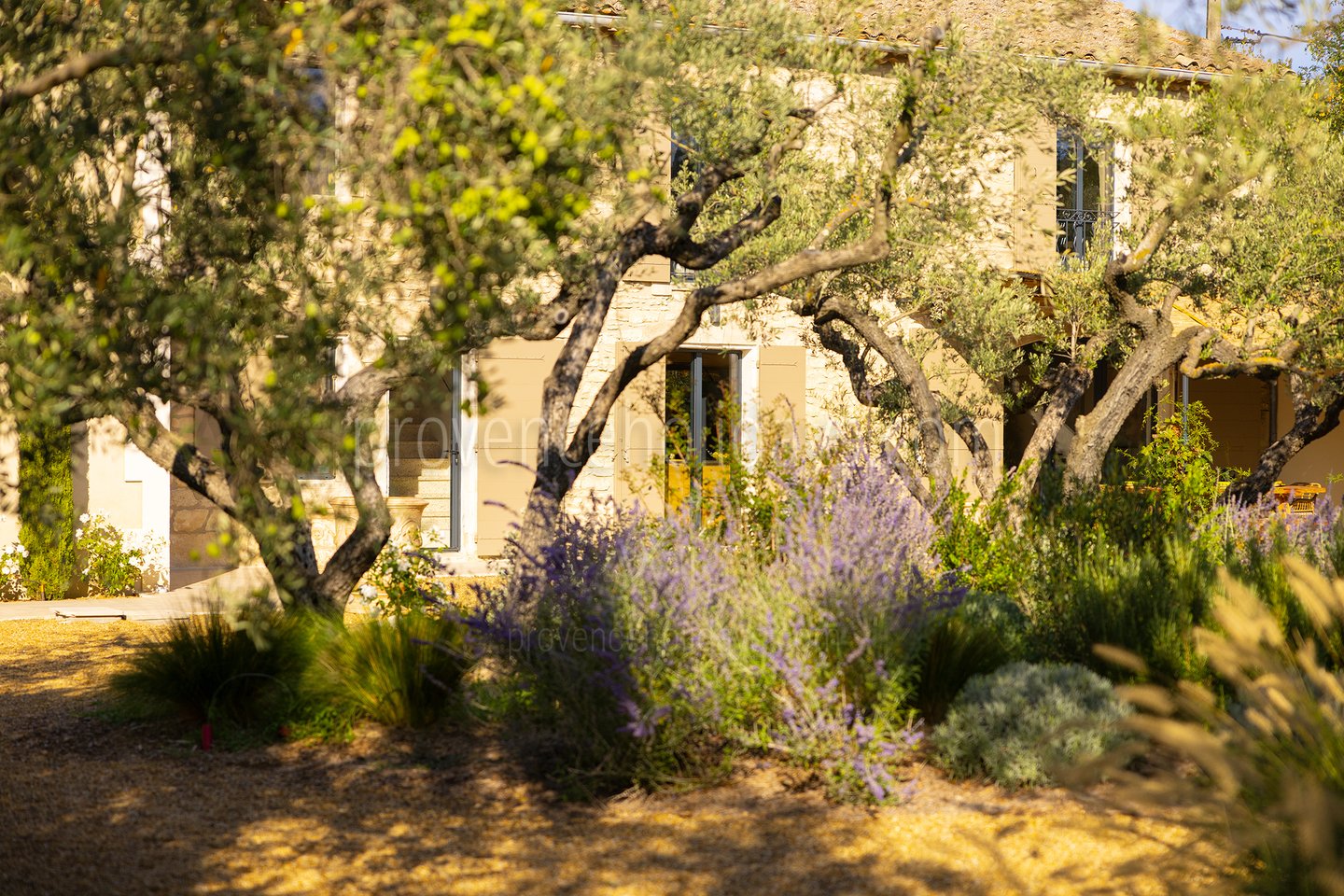 14 - Mas Leonie: Villa: Exterior