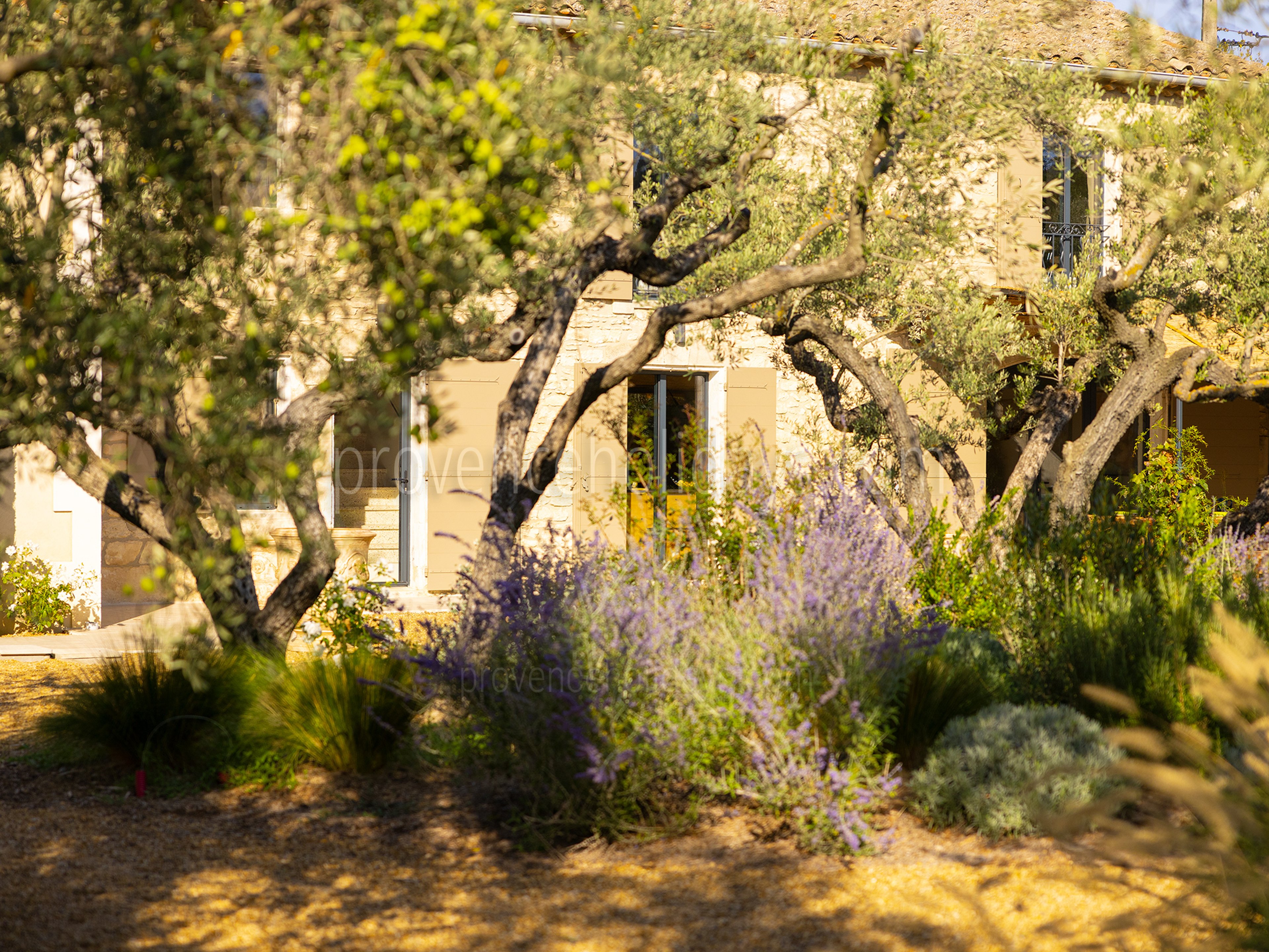 14 - Mas Leonie: Villa: Exterior