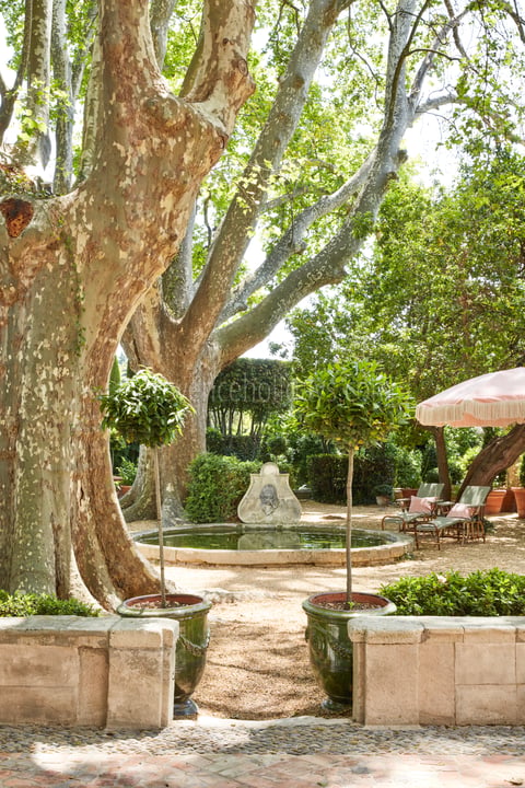 1 - Bastide des Alpilles: Villa: Exterior