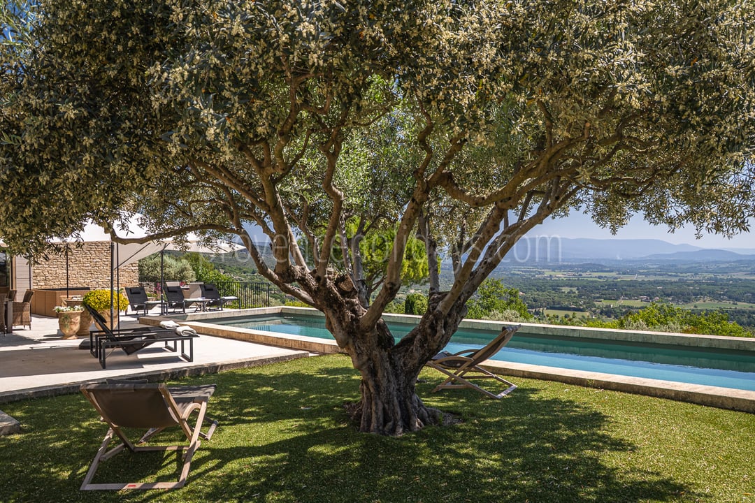 39 - Villa Alta Provence: Villa: Pool