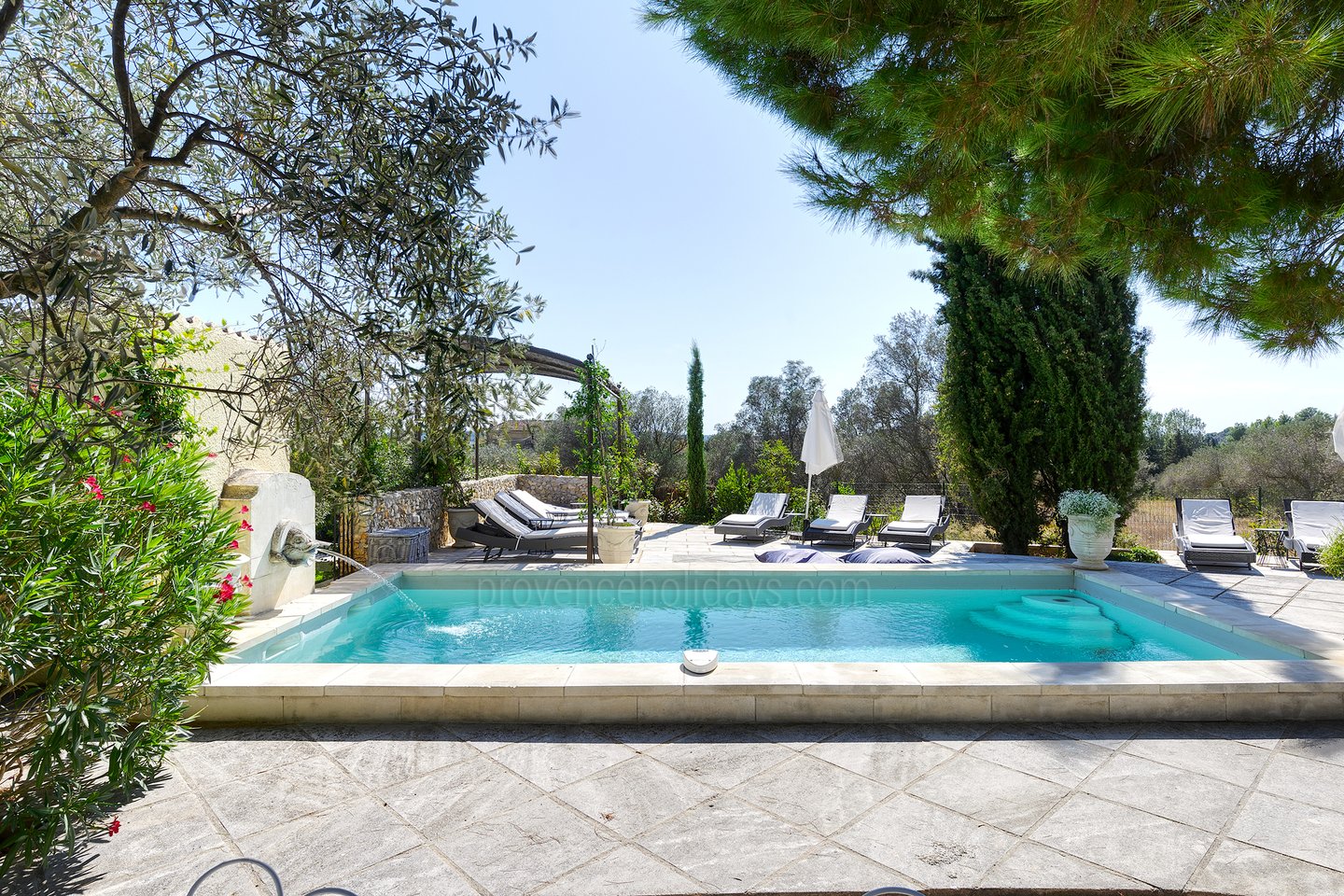 25 - Le Mas des Olives: Villa: Pool