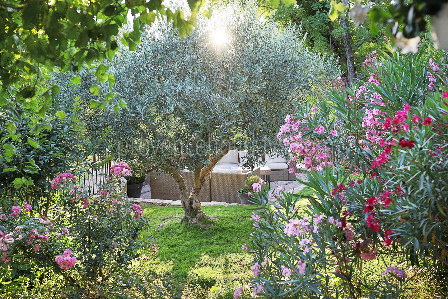 12 - Mas Castillon: Villa: Exterior